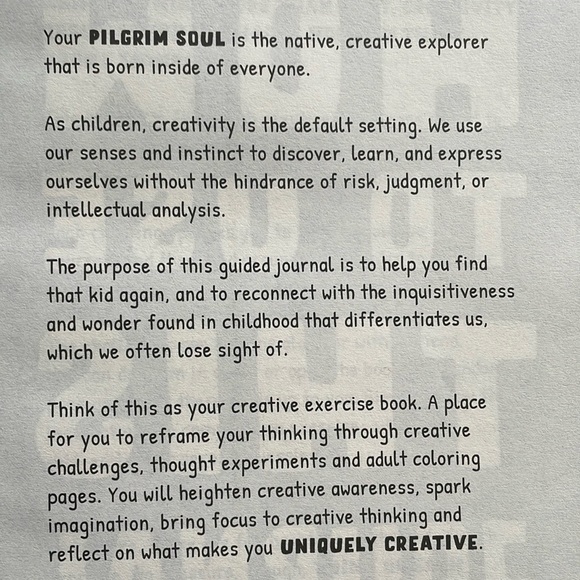Pilgrim Soul Creative Thinking Journal & Mood Enhancing Coloring Book -NWT - Picture 6 of 16